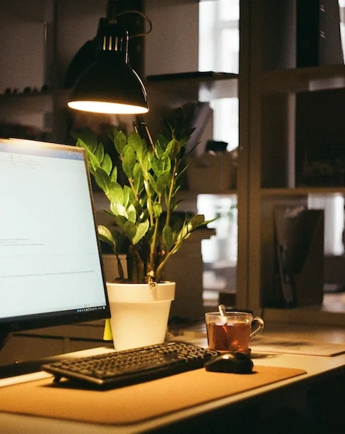 Software Testing